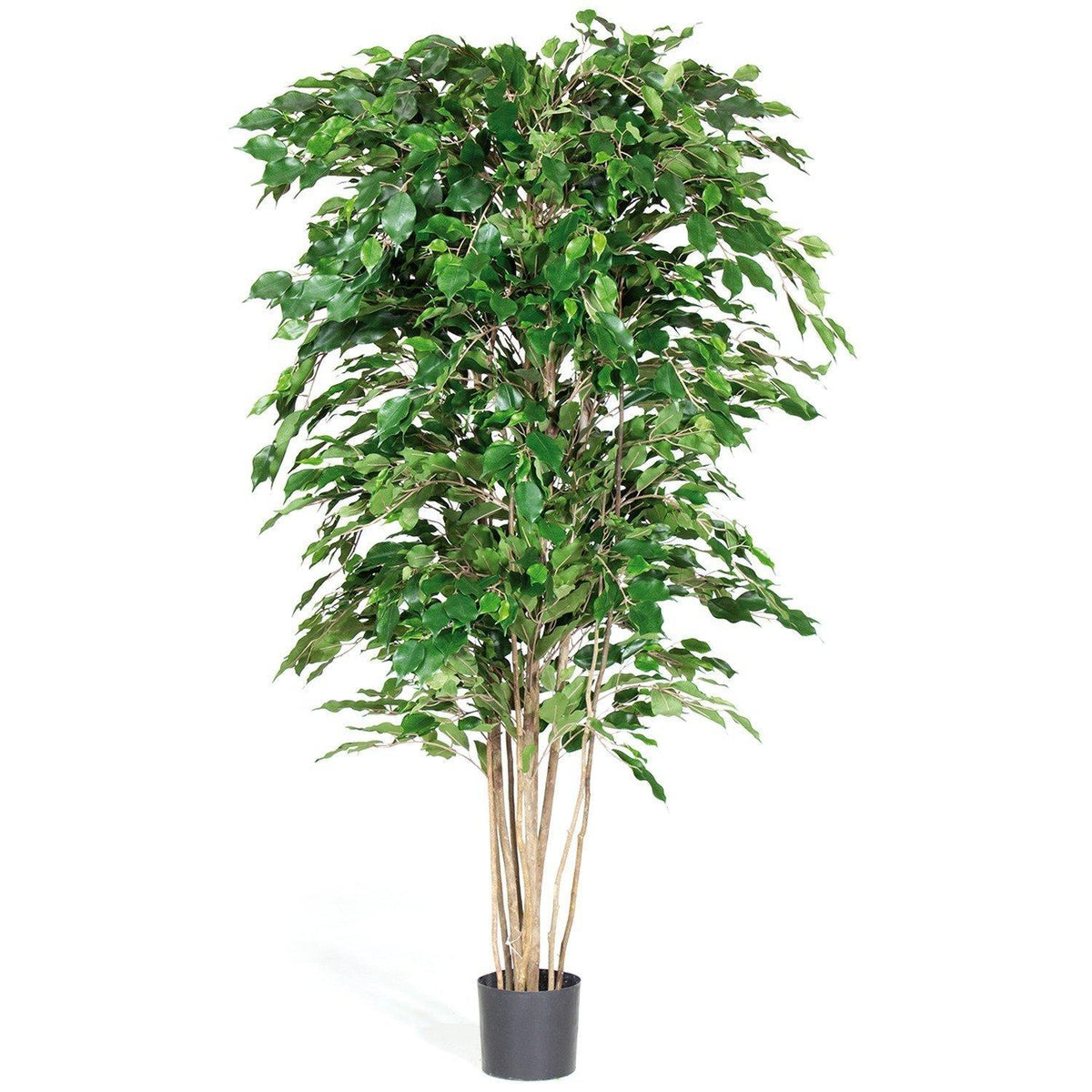 Ficus Artificial A.180 cm – Decohogalia
